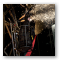 072807_0948hi-res