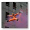 Rigging & Flying