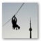 Rigging & Flying