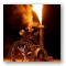 Spectacle - Tricycle Show