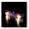 Spectacle - Jump Jet Show