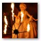 Spectacle - Circus Spectacle Show