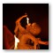 Spectacle - Circus Spectacle Show