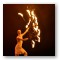 Spectacle - Circus Spectacle Show