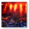 Spectacle - Circus Spectacle Show