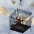 aerial rigging