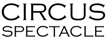 pyrotechnic circus spectacle show